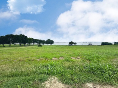 Dream Waterfront Homesite on Richland Chambers Lake! - photo 7