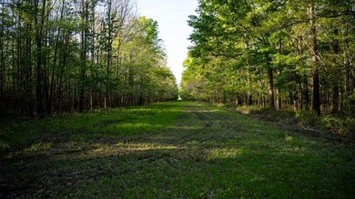 Welcome to Floweree, a true sportsman's paradise in the - photo 12