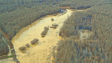Welcome to Floweree, a true sportsman's paradise in the - photo 17