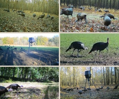 Welcome to Floweree, a true sportsman's paradise in the - photo 21