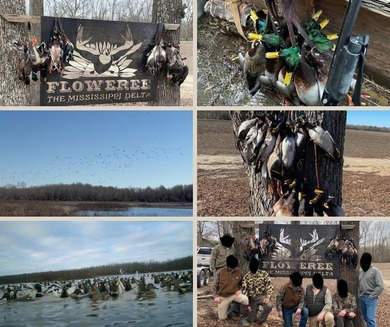 Welcome to Floweree, a true sportsman's paradise in the - photo 22