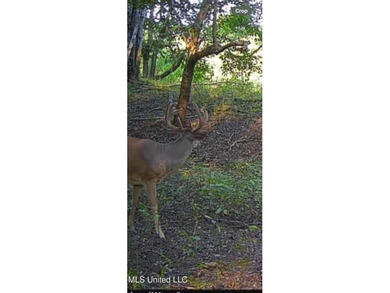 Welcome to Floweree, a true sportsman's paradise in the - photo 30