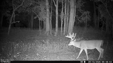 Welcome to Floweree, a true sportsman's paradise in the - photo 31