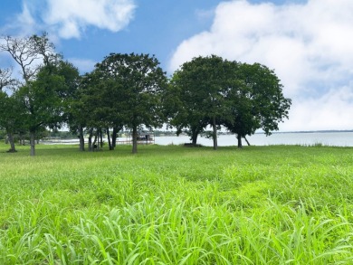 Dream Waterfront Homesite on Richland Chambers Lake! - photo 10