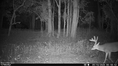 Welcome to Floweree, a true sportsman's paradise in the - photo 32