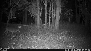 Welcome to Floweree, a true sportsman's paradise in the - photo 33