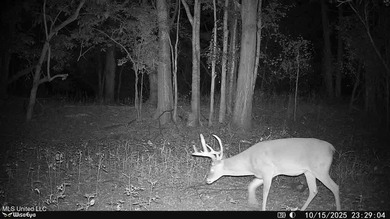 Welcome to Floweree, a true sportsman's paradise in the - photo 34