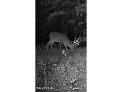 Welcome to Floweree, a true sportsman's paradise in the - photo 35