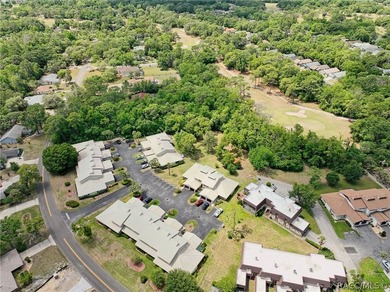 Enjoy a Florida carefree lifestyle here as your condo - photo 36