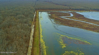 Welcome to Floweree, a true sportsman's paradise in the - photo 37