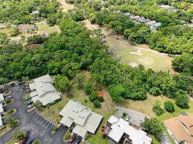 Enjoy a Florida carefree lifestyle here as your condo - photo 39