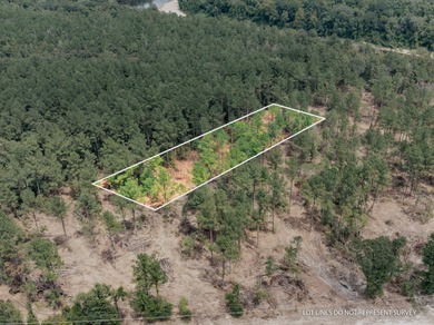 Leaf River Lot For Sale in Mc Lain Mississippi