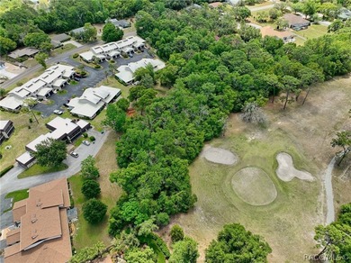 Enjoy a Florida carefree lifestyle here as your condo - photo 41