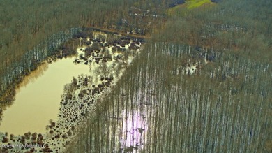 Welcome to Floweree, a true sportsman's paradise in the - photo 45