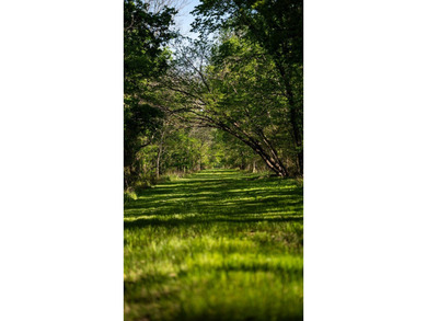 Welcome to Floweree, a true sportsman's paradise in the - photo 49