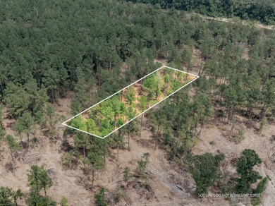 Leaf River Lot For Sale in Mc Lain Mississippi