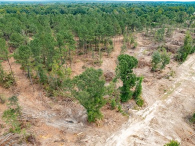 1.05 MOL AC Old Hwy 24 Parcel 14 - photo 2
