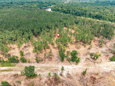 1.05 MOL AC Old Hwy 24 Parcel 14 - photo 3