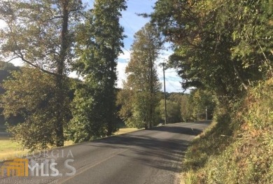 Lake Lot Off Market in Ellijay, Georgia