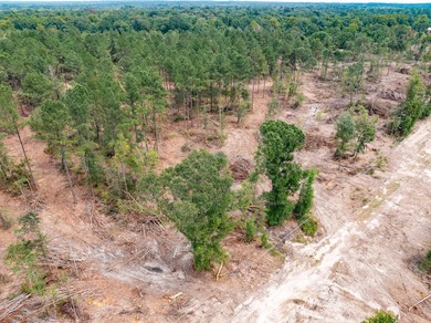 1.01 MOL AC Old Hwy 24 Parcel 15 - photo 2