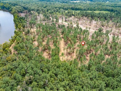 1.01 MOL AC Old Hwy 24 Parcel 15 - photo 7