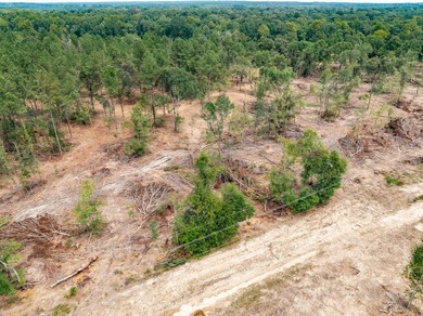 1.01 MOL AC Old Hwy 24 Parcel 16 - photo 2