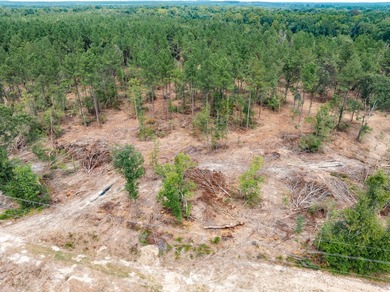 1.0 MOL AC Old Hwy 24 Parcel 17 - photo 2