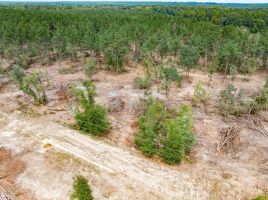 1.0 MOL AC Old Hwy 24 Parcel 18 - photo 3