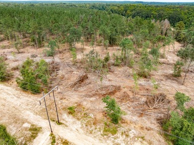 1.0 MOL AC Old Hwy 24 Parcel 19 - photo 2