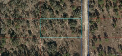 Lake Lot For Sale in Dunnellon, Florida