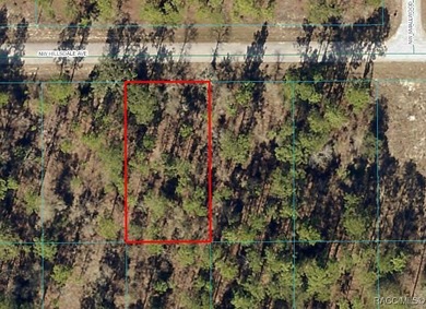 Bonable Lake Lot For Sale in Dunnellon Florida