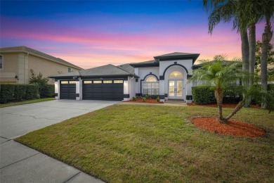 Lake Home For Sale in Odessa, Florida