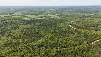 This 32 +/- acre tract in Boone County offers a prime - photo 10