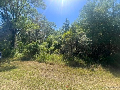 (private lake, pond, creek) Lot For Sale in Hernando Florida