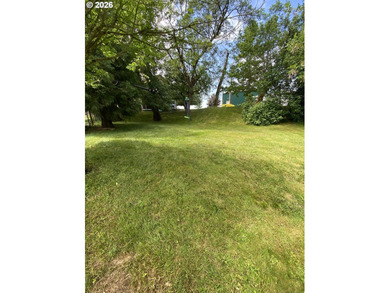 Gorgeous custom 4bed/3bath + office home on 5.63 acres. Back - photo 42