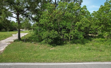 Great Corner lot in Clermont Harbor! Build the perfect - photo 2