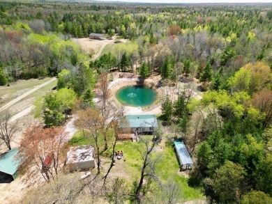 (private lake, pond, creek) Home For Sale in Luther Michigan