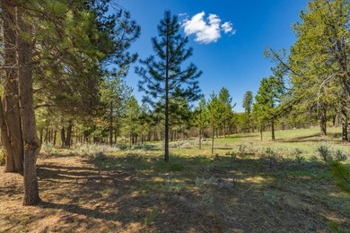-Priced to Sell- Don't miss this opportunity to secure one of - photo 5