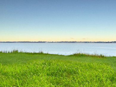 Dream Waterfront Homesite on Richland Chambers Lake! - photo 16