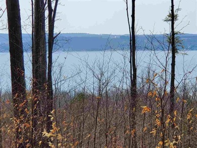 Lake Charlevoix Lot For Sale in Boyne City Michigan