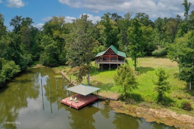 Lake Home For Sale in Alberta, Alabama
