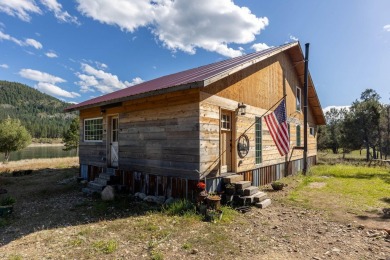 Lake Home For Sale in Northport, Washington