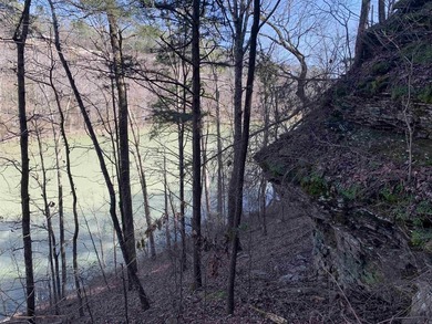 LAKEFRONT/LAKEVIEW at the back of SNAKEHEAD COVE aka Lynn Creek - photo 11