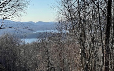 Lake Lot For Sale in Hayesville, North Carolina