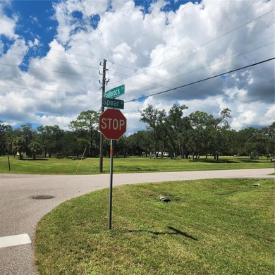 10,000 Square Feet Vacant Commercial Lot in the up and coming - photo 3