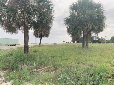 Two lots. Build two distinctive homes, each with stunning ocean - photo 2