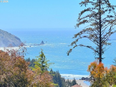 Ocean View Delight! Perched near the top of Whaleshead Beach - photo 4
