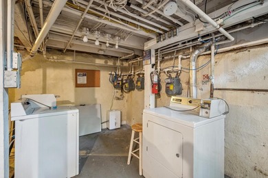 Own a piece of Northeast Minneapolis history. This meticulously - photo 43
