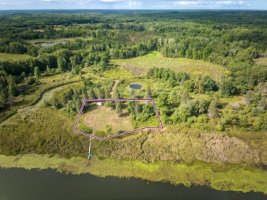 Lake Lot For Sale in Barryton, Michigan