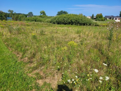 Lake Diane Lot For Sale in Camden Michigan